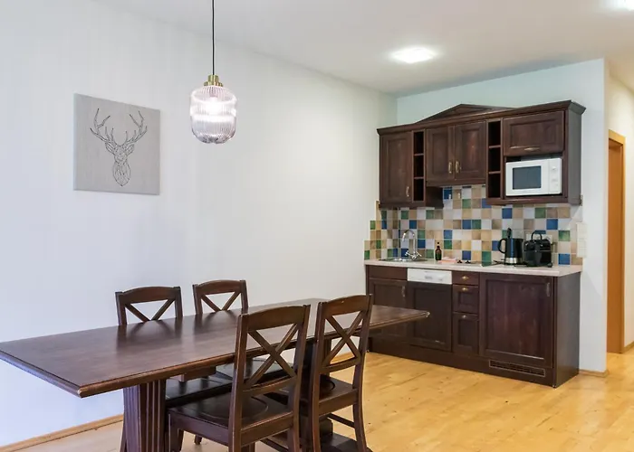 Apartament International House Mit Balkon Zw 12 Sölden